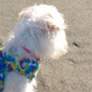 Meet your Posher, Shelli